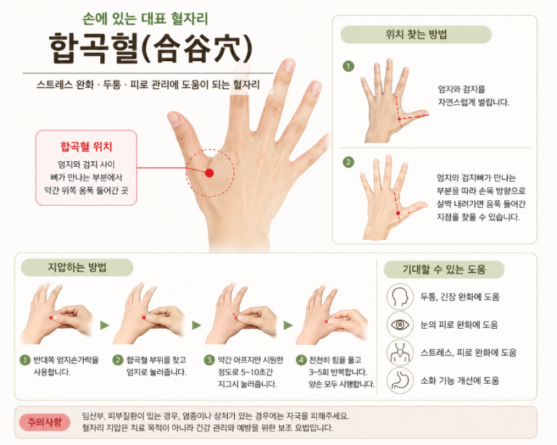 백회혈 다음으로 알아본 중요한 혈자리, 합곡혈(合谷穴) 이야기