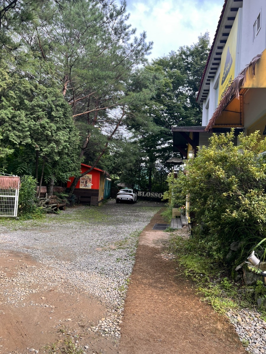 엘블라썸198 사진 4