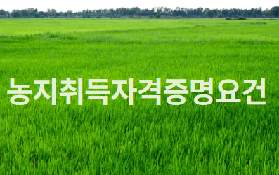 농지취득소유요건, 농지취득자격증명발급 대상 및 요건 알아보기