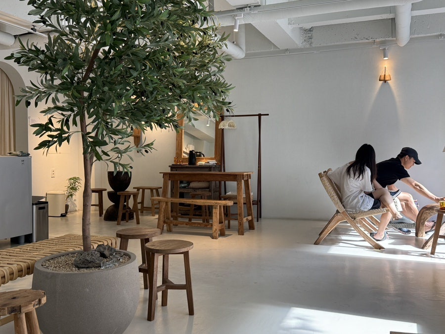 올리비아떼 사진 4
