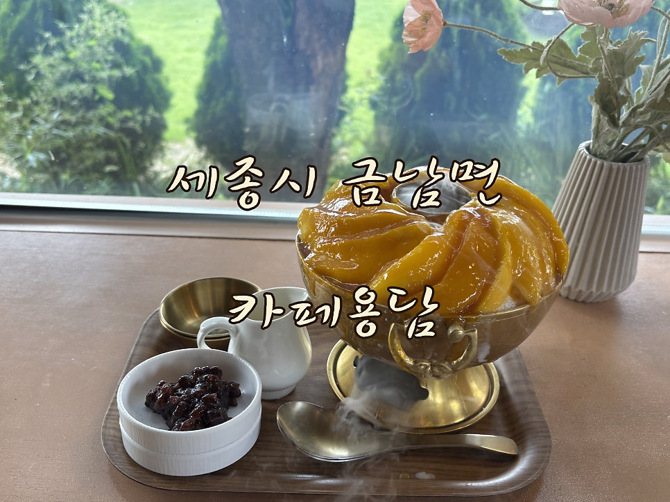 카페용담 사진 1