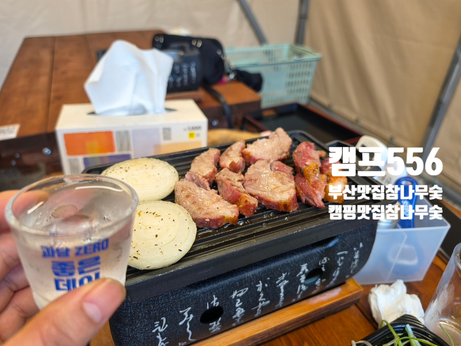 캠프556 사진 2