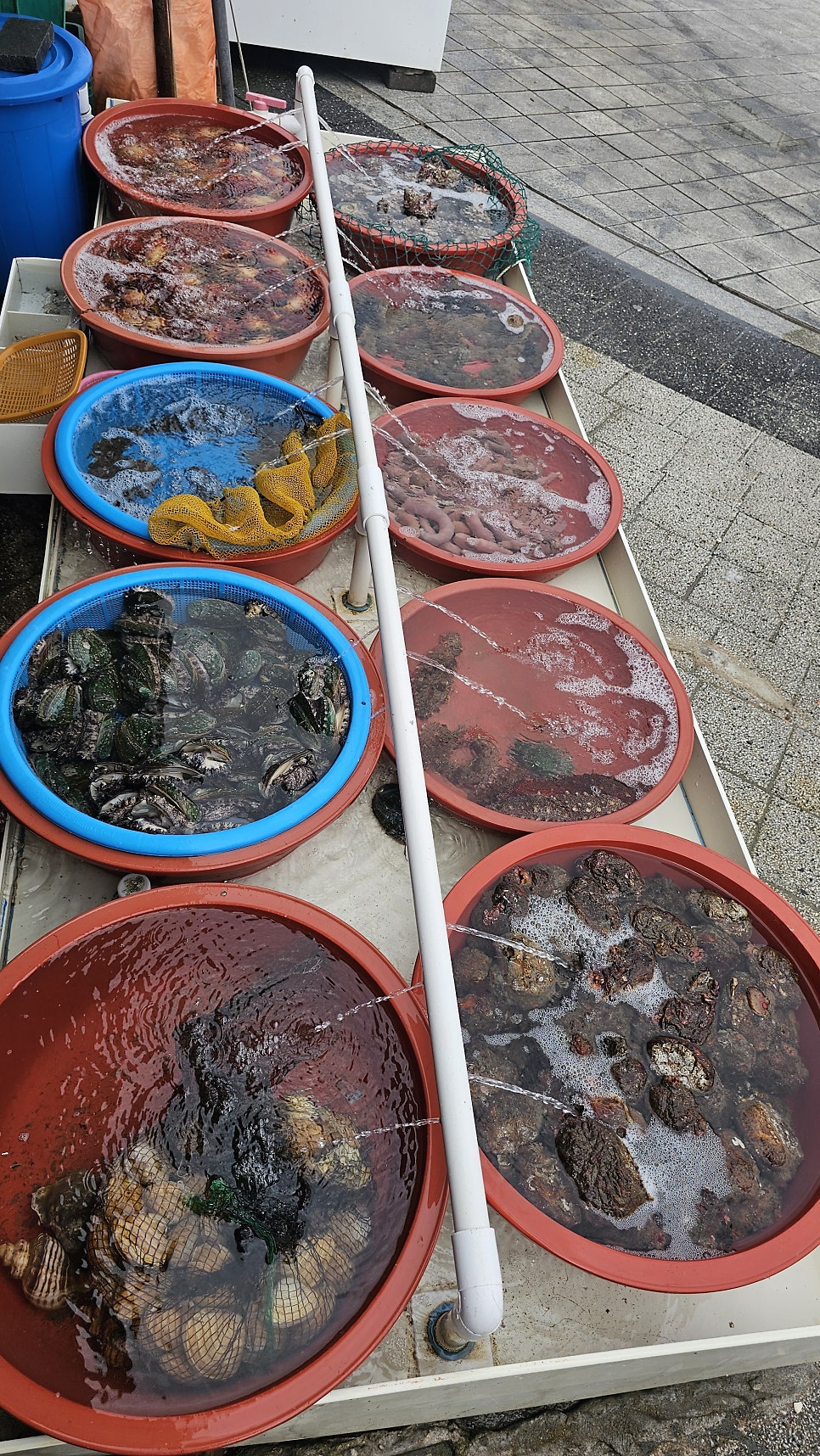 순이와옥이 사진 6