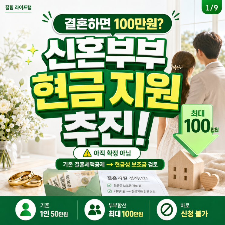<b>정부</b> 신혼부부 100만원 현금 지원 추진
