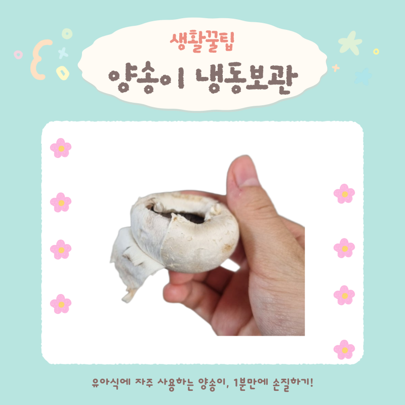 양송이버섯 보관법 총정리! 손질부터 냉동보관까지