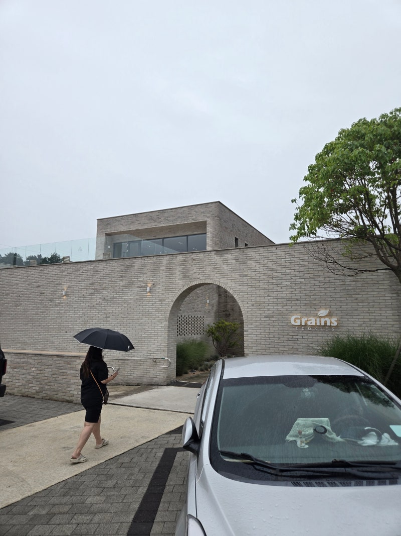 제주도 여행 선물 추천 그레인스쿠키 애월점 내돈내산
