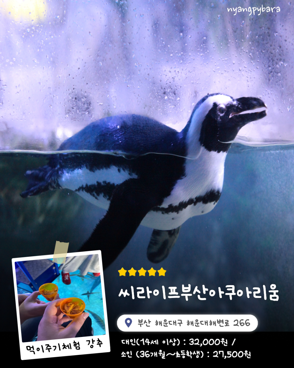 생전포차 사진 4