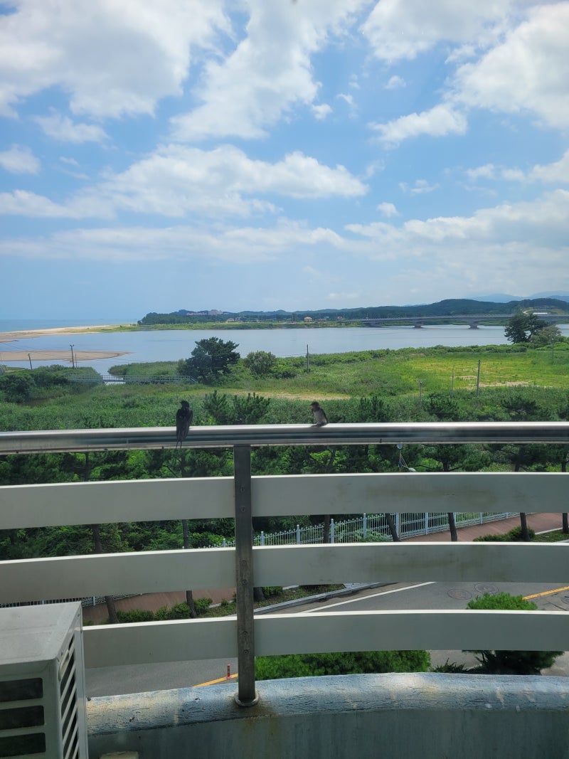 [낙산/양양] 솔직함 200% 리얼 숙박 후기! 오션뷰와 솔직한 내 돈 내산 장단점 총정리-양양 비....