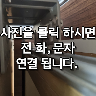 수 사진 3
