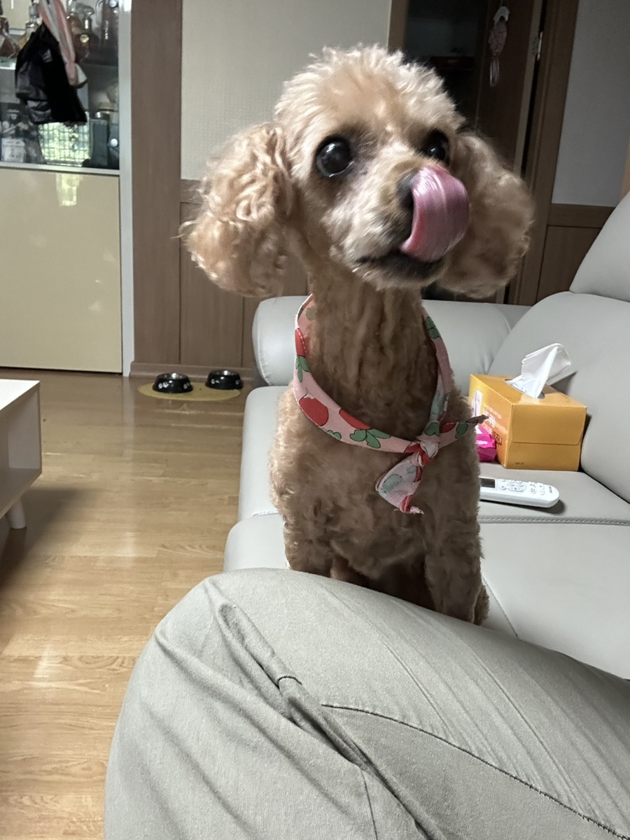 삼계탕전문점 하림 사진 3