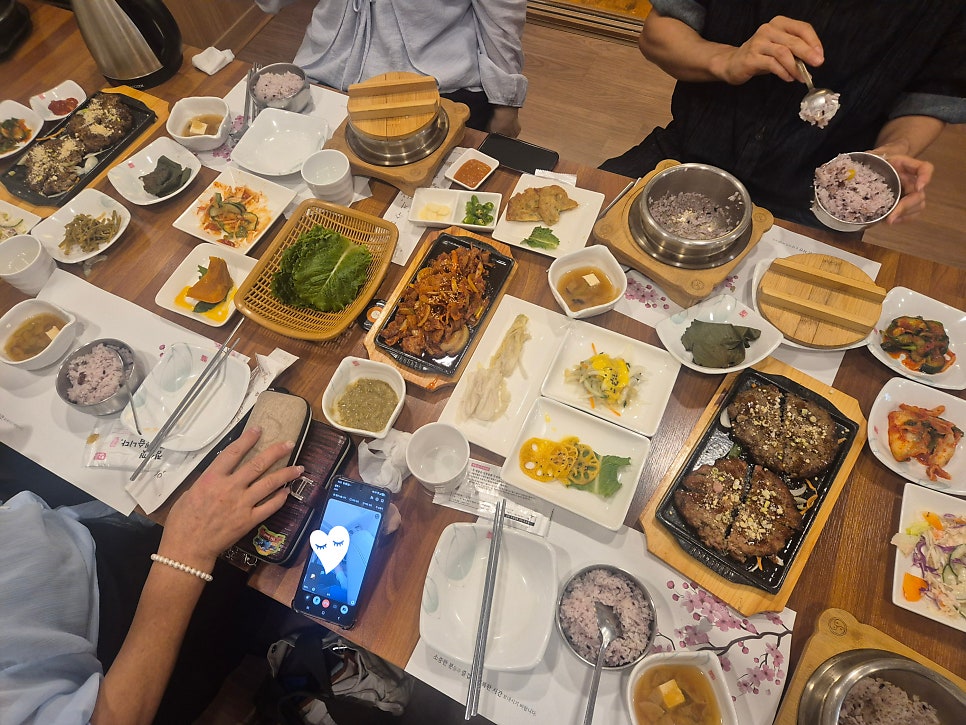 목향 사진 6