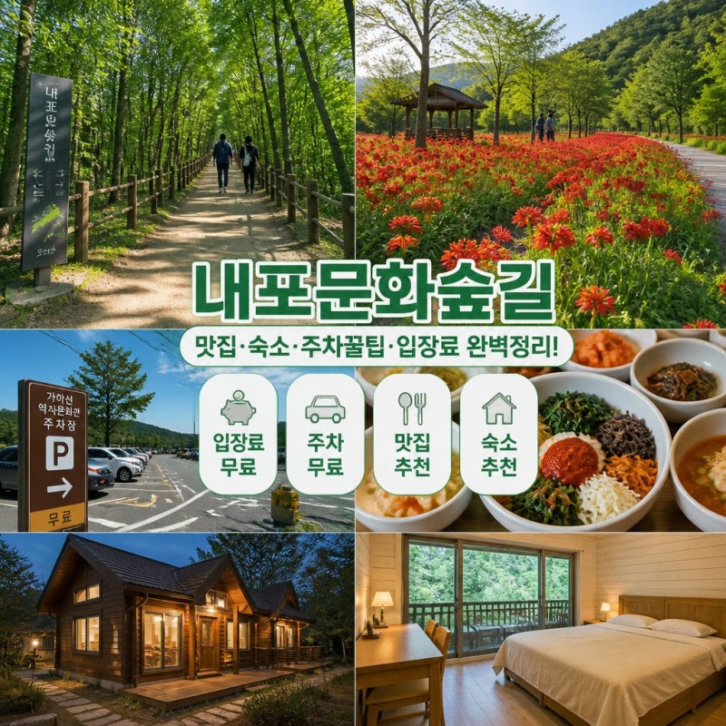 내포문화숲길 주변 맛집과 숙소·주차꿀팁·입장료 완벽정리! 국가 숲길 힐링 산책길 데이트