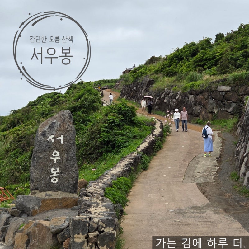 제주도 함덕 가볼 만한 곳 서우봉 (바다와 자연 풍경을 보고 느낄 수 있는 장소)