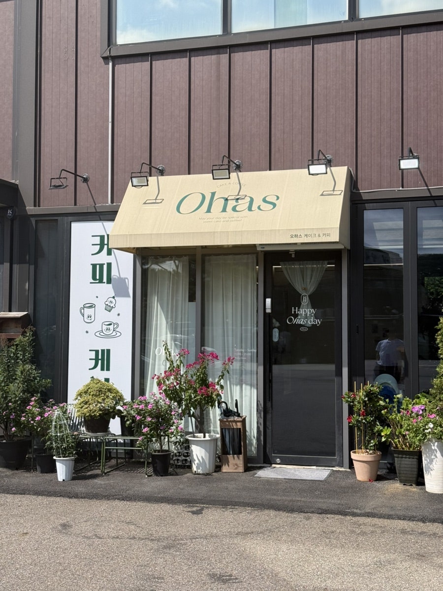 오하스 사진 1