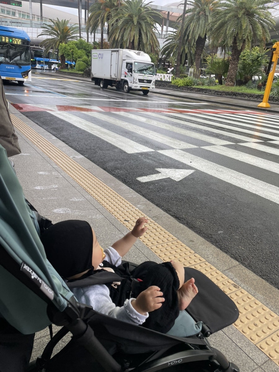 귤낭 사진 3