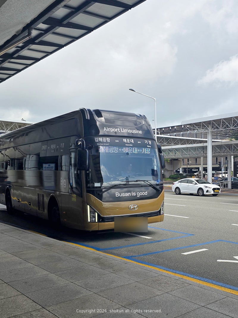 김해공항 리무진 버스로 벡스코까지 한 번에! (요금·시간표·소요시간) 솔직 탑승 후기