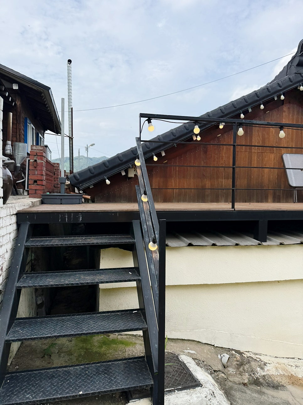 모도리 사진 6