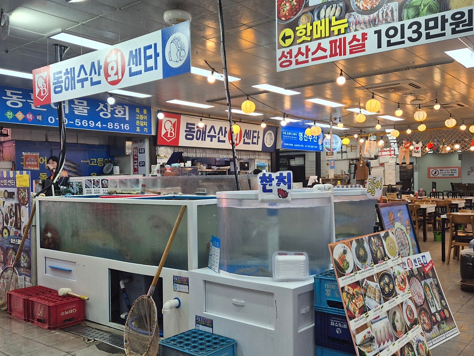 동해수산회센타 사진 3