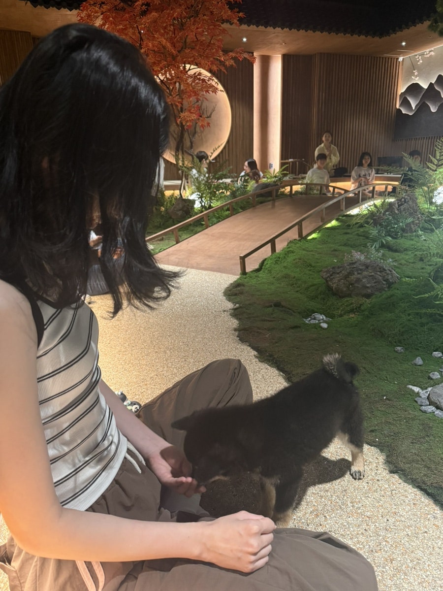 시바노우치 사진 6