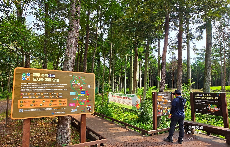 수악 사진 2
