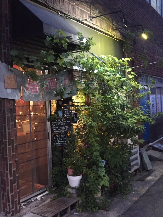 곡우 사진 2
