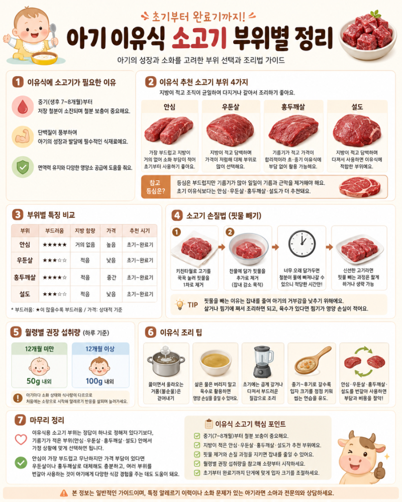 아기 이유식 소고기 부위별 장단점 정리, 초기부터 완료기까지 제대로 알고 먹이자!