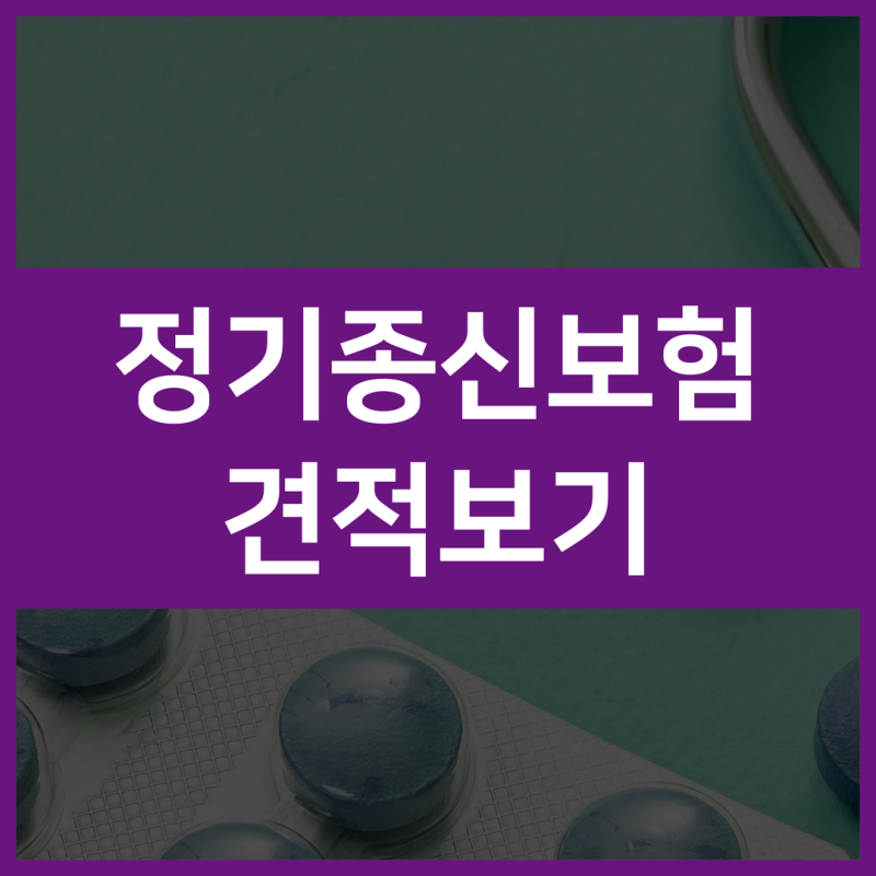 경영인정기보험 CEO 보장 정기보험 알아보며 확인한 법인 리스크 대비 기준