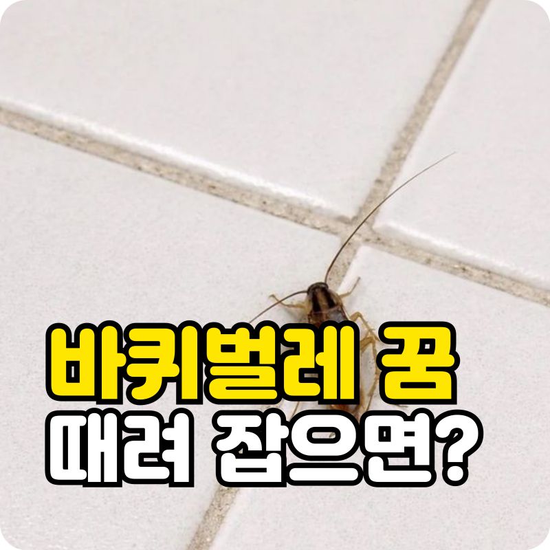 길몽일까 악몽일까? 바퀴벌레 꿈 해몽과 잡는 꿈의 진짜 의미