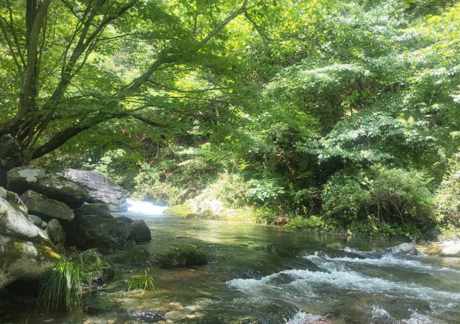 항골계곡 사진 6