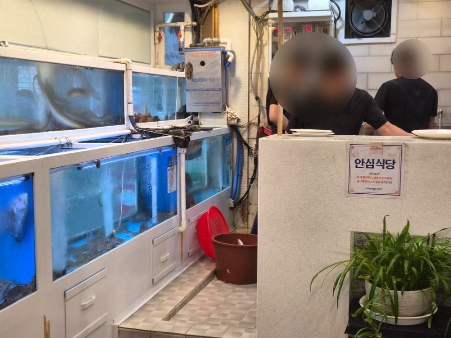 제일횟집 사진 5