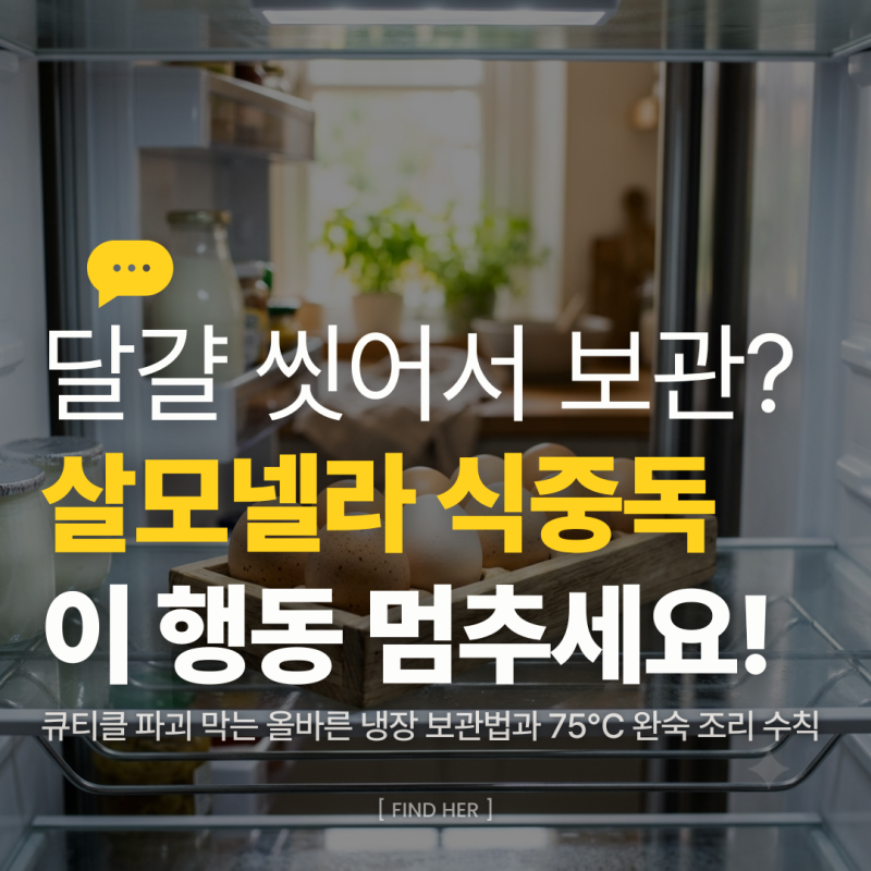 살모넬라 식중독, 달걀 물로 씻어서 냉장고 넣을까? 75도 가열과 올바른 보관법 3가지