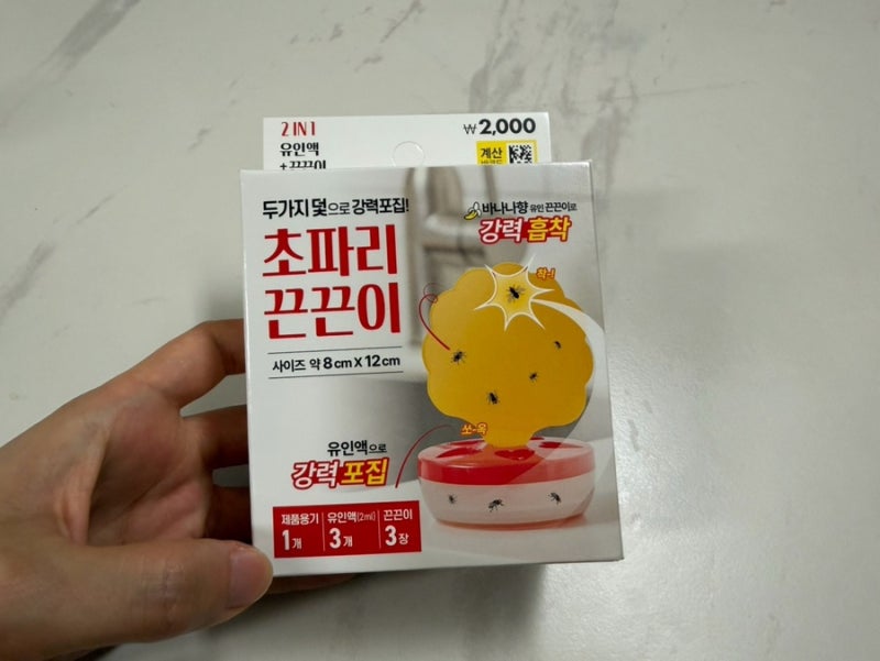 초파리 없애는 법, 다이소 초파리 끈끈이 일주일 사용 후기(추천템?)