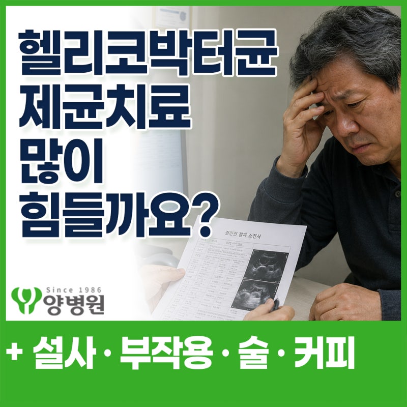 헬리코박터균 제균치료 많이 힘든가요? 부작용·설사·복용 중 술과 커피까지 | 강동구 소화....