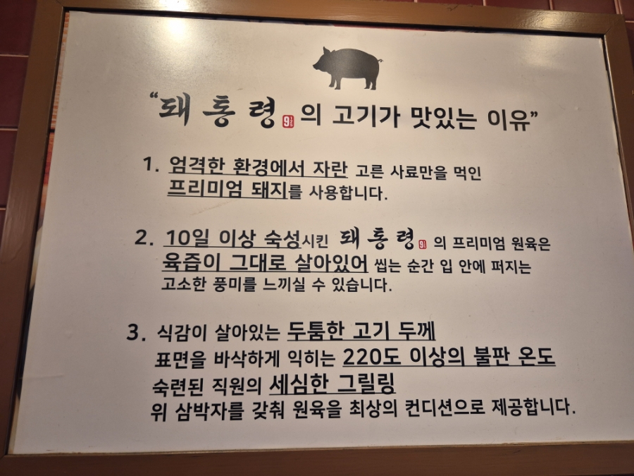 돼통령 사진 6