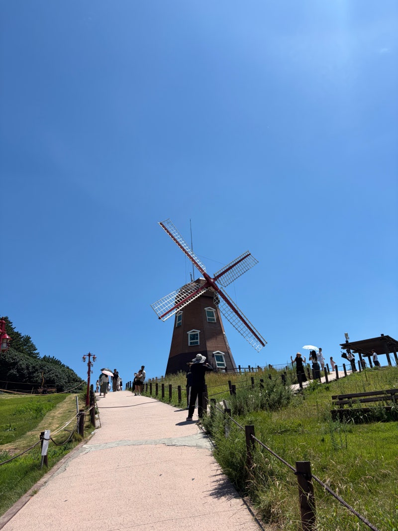 거제 바람의언덕 후기｜폭염도 잊게 만든 절경, 꼭 한 번은 가봐야 할 거제 대표 명소