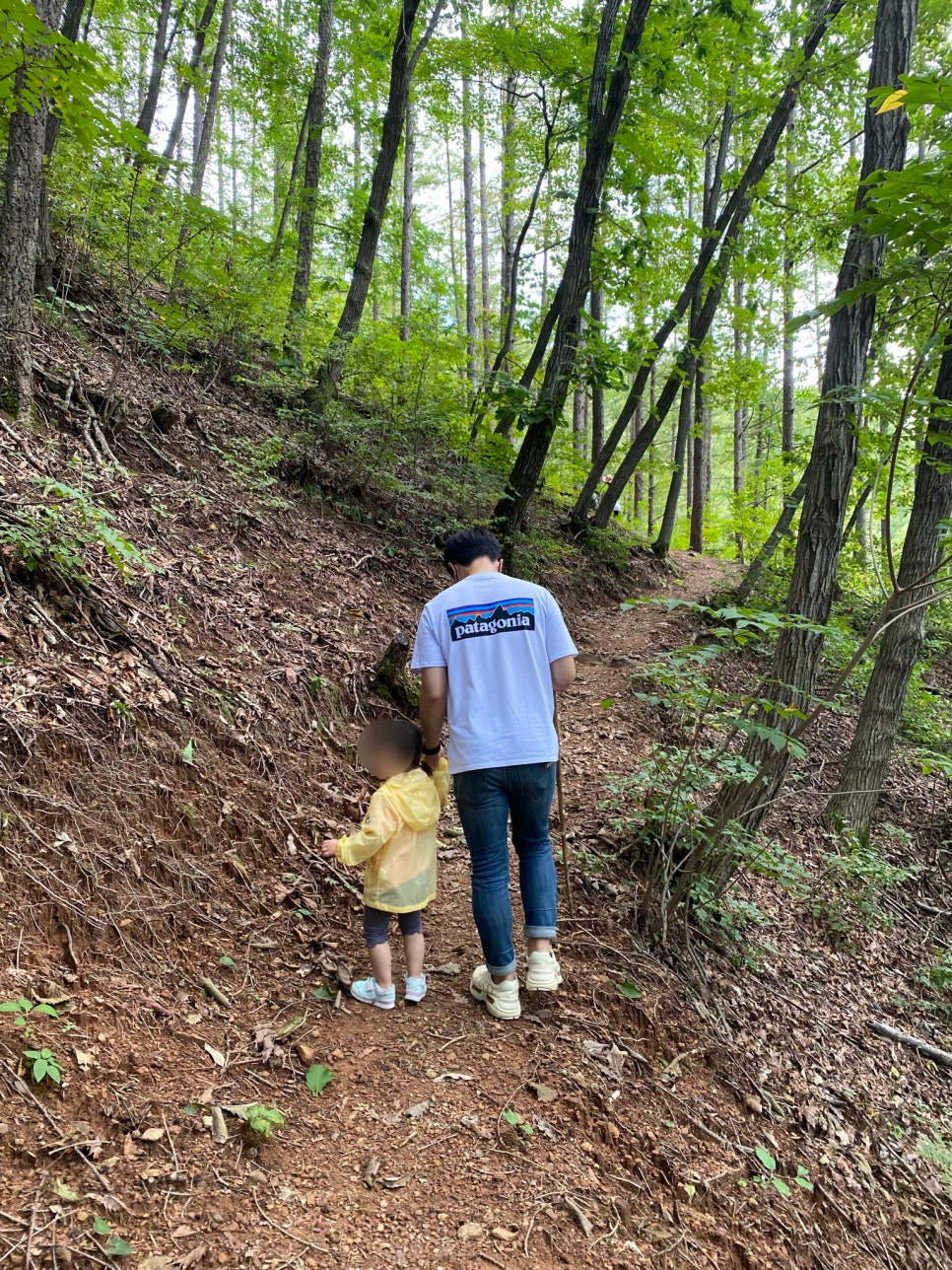 민주지산 사진 4