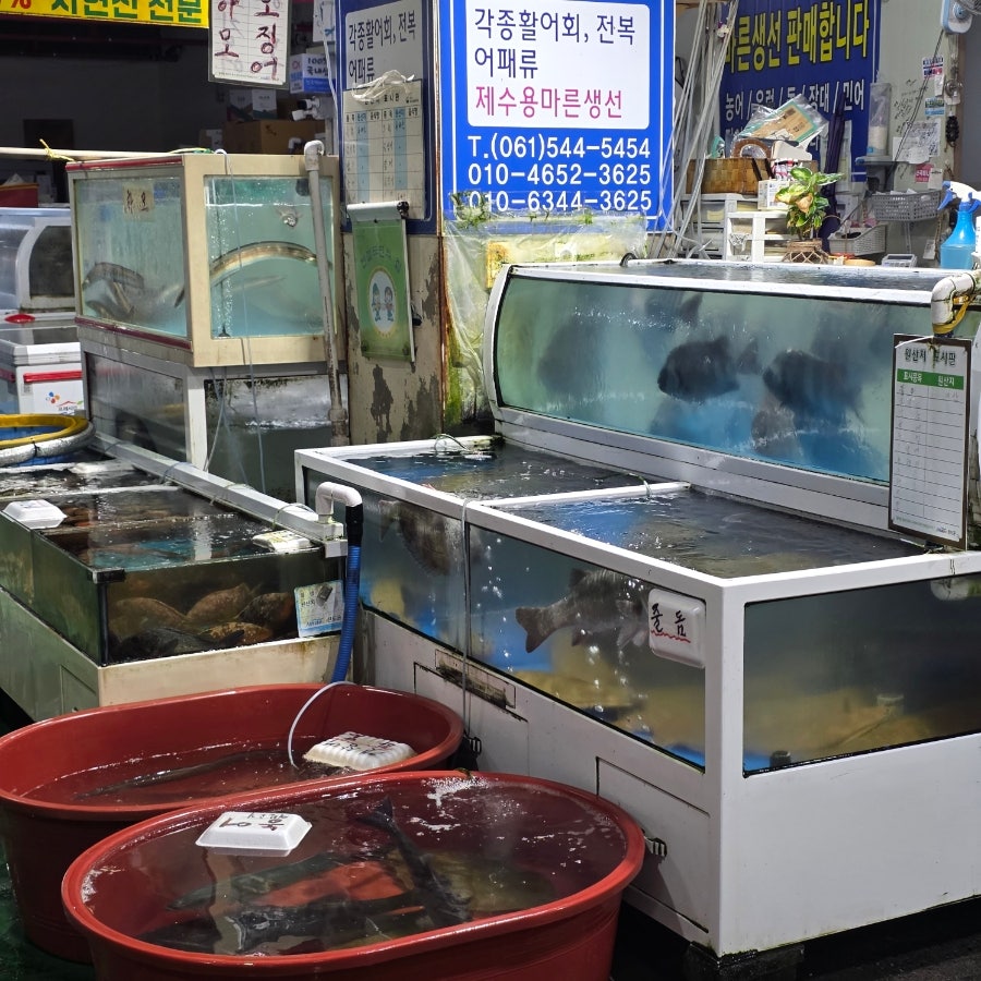 진도아리랑회센터 사진 2