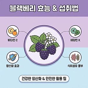 블랙베리 효능 영양성분과 칼로리, 올바르게 먹는법