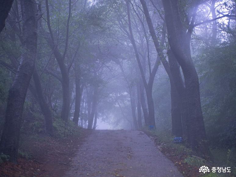 백월산 사진 4