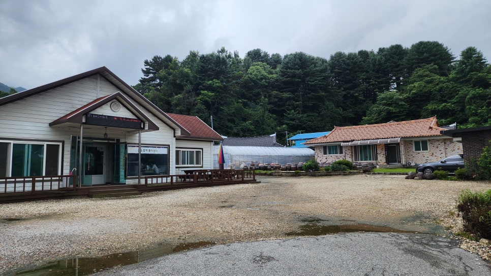 지리산나물밥 사진 1