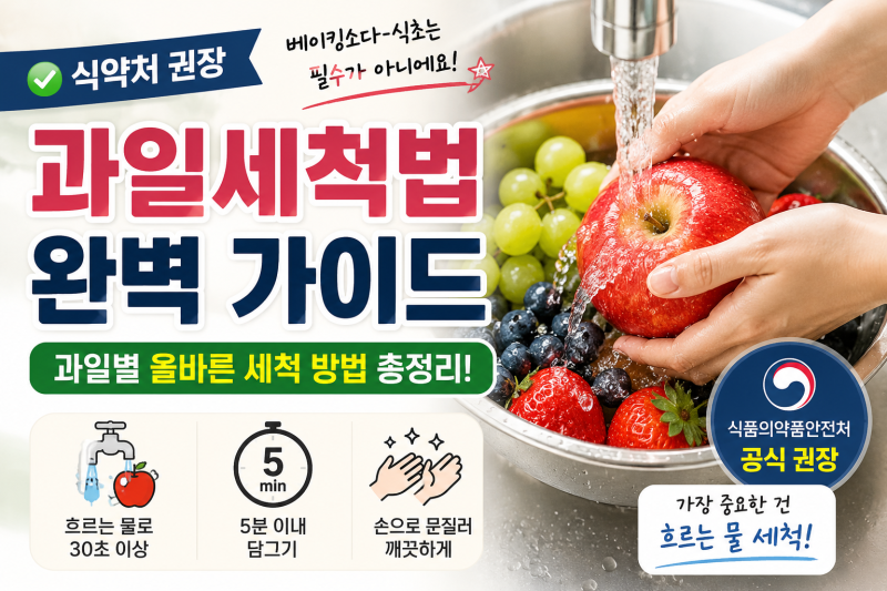 과일세척법 완벽 가이드, 과일별 올바른 세척 방법