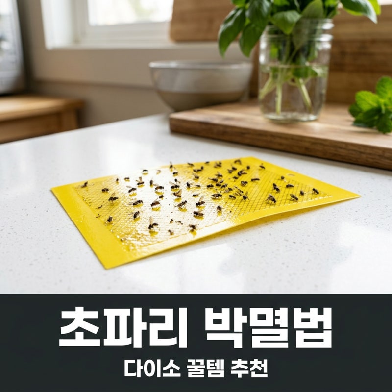 다이소 초파리 트랩 추천, 끈끈이 vs 액체 효과 비교와 박멸 꿀팁