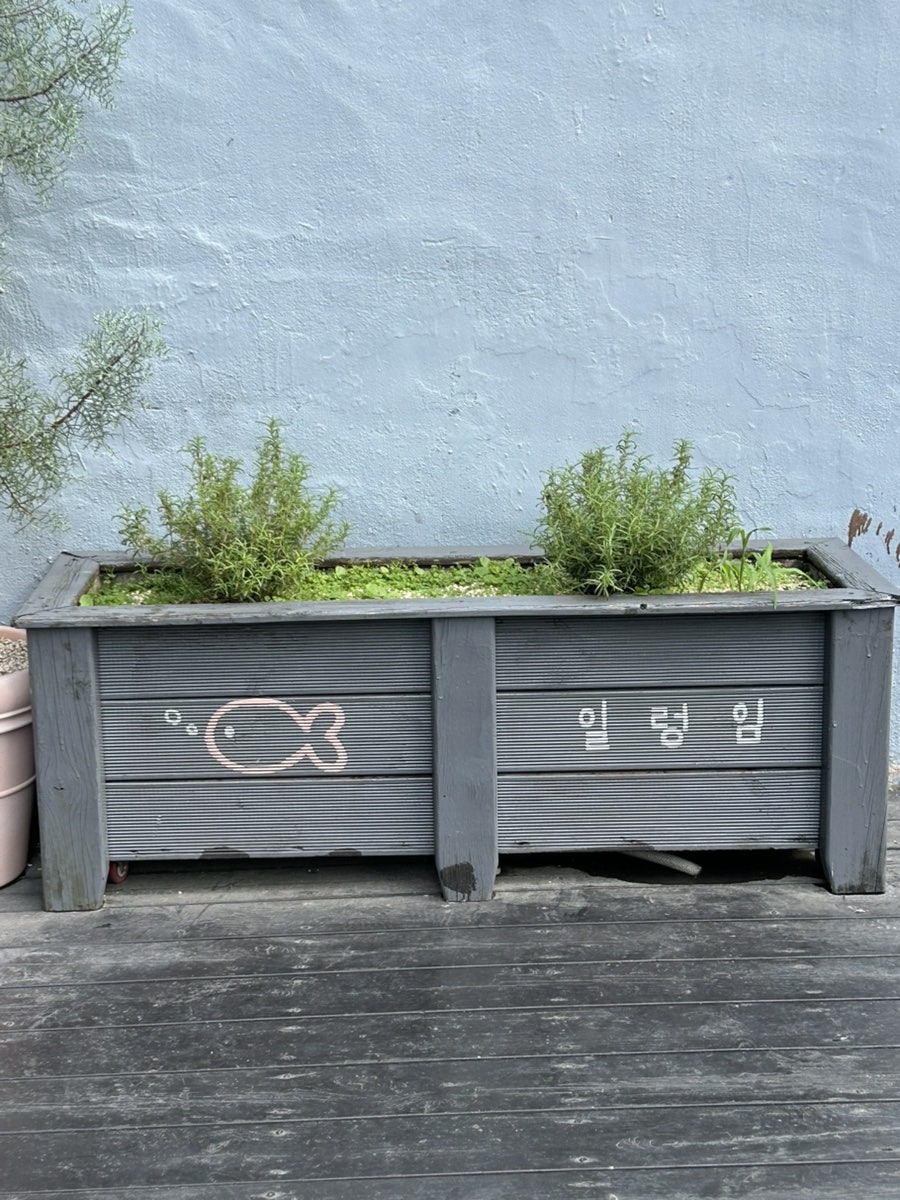 일렁임 사진 1