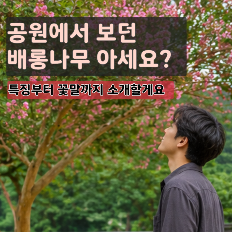 여름이면 더 예쁜 배롱나무, 키우는방법 부터 꽃말까지