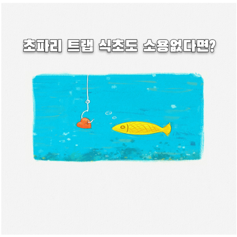 초파리 트랩 만들기 식초도 소용없다? 그러면 이거?