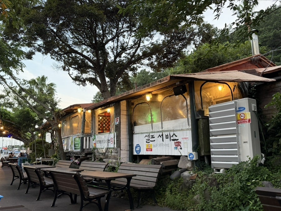 로즈마린 사진 5