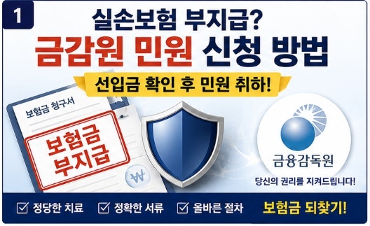 실손보험 부지급 금감원 민원 신청 방법 & 자율조정 합의 전략 (취하 꿀팁)