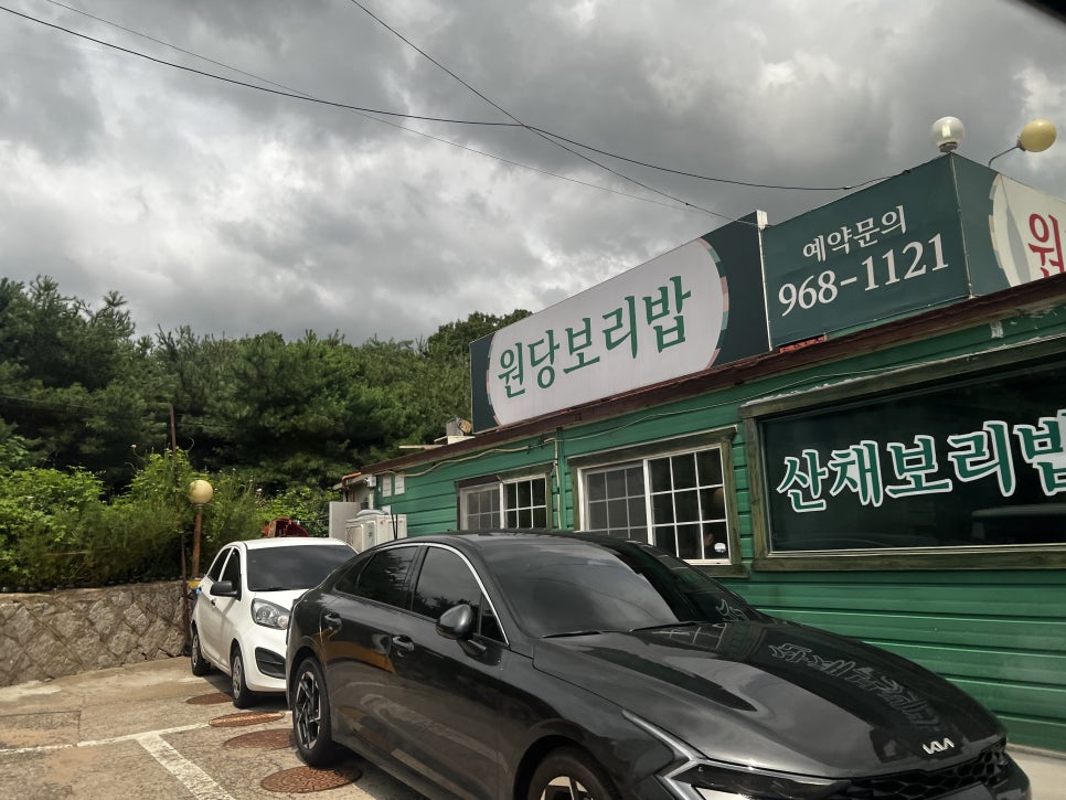 솔향기 사진 1