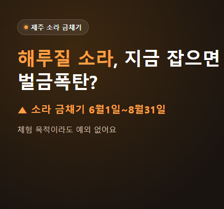 애기가 몰라서? 제주 여행와서 벌금 1000만원... 안 돼요
