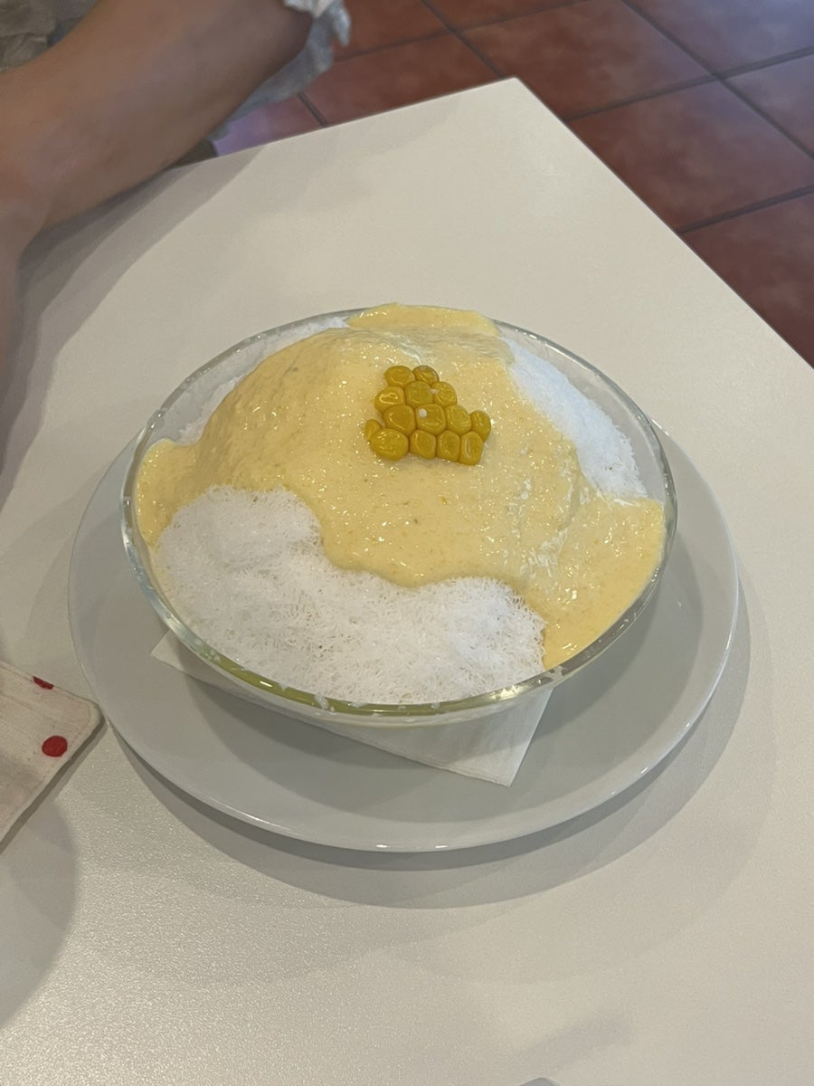 노론존 사진 3